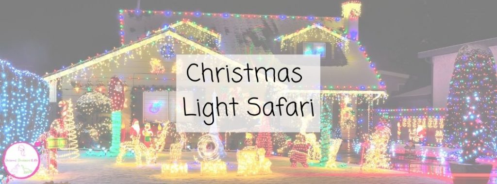 Christmas Light Safari Header