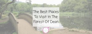The Best Places To Visit In The Forest Of Dean Blog Header