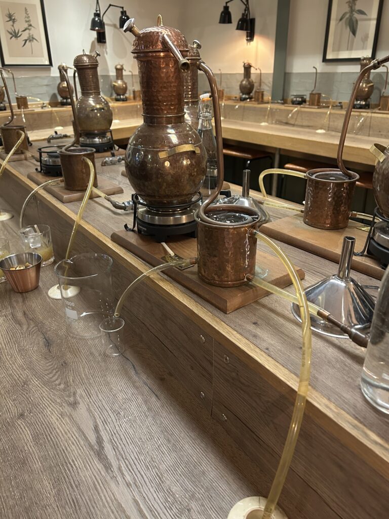 Copper stills and glassware arranged on a wooden table in a distillery setting, with tubes connecting the equipment and botanical illustrations hanging on the wall in the background.
