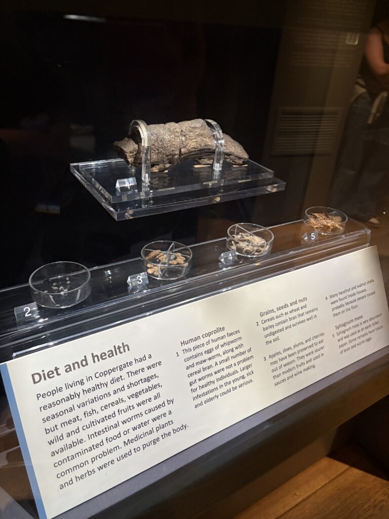 A museum display shows samples of ancient food remains and a preserved coprolite (fossilised faeces) on a clear stand, with descriptive text about Coppergate diet and health below the case.